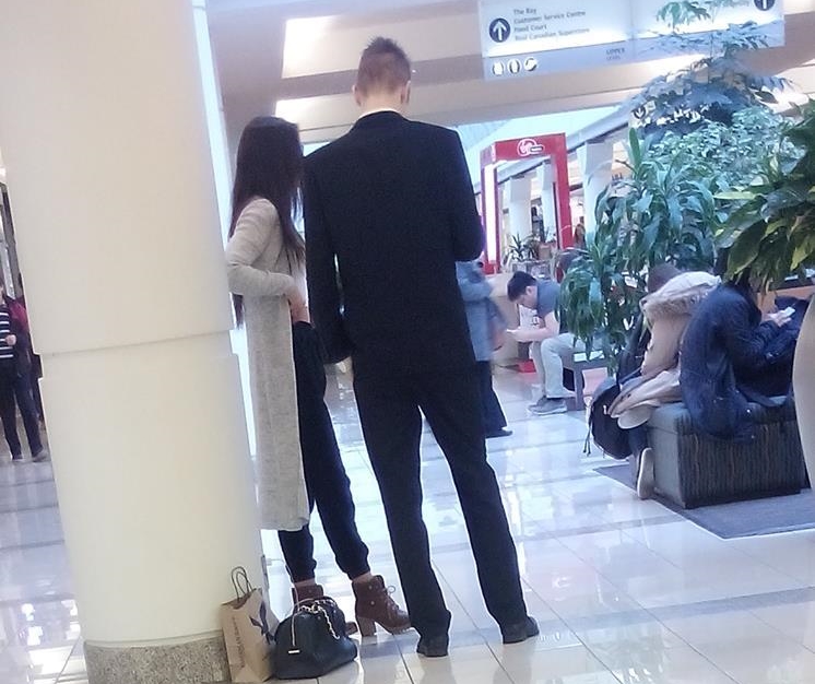 12512352_536427049871293_5017943266045600286_n