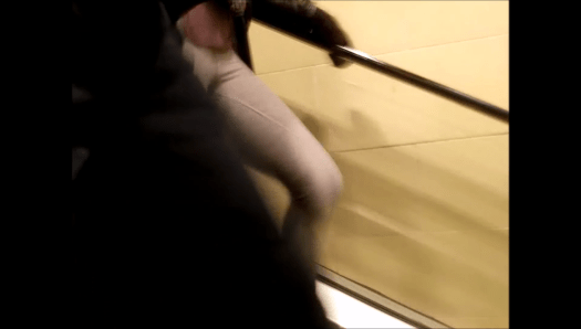 vlcsnap-2017-02-07-13h05m40s446