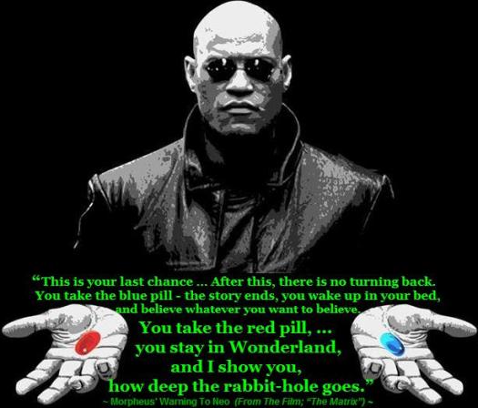 morpheuswarning_grnfnt_red-blue_pill_lg_onblk_lg.jpg