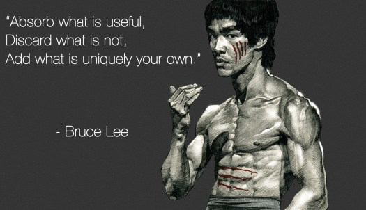 Bruce-Lee-Quote-Absorb-what-is-useful.jpg