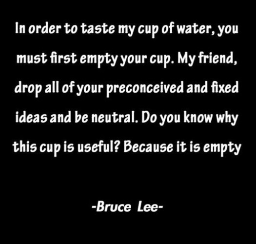 bruceleequote-900x506
