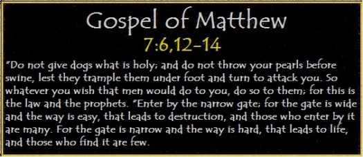 Image result for proverbs wisdom swine"